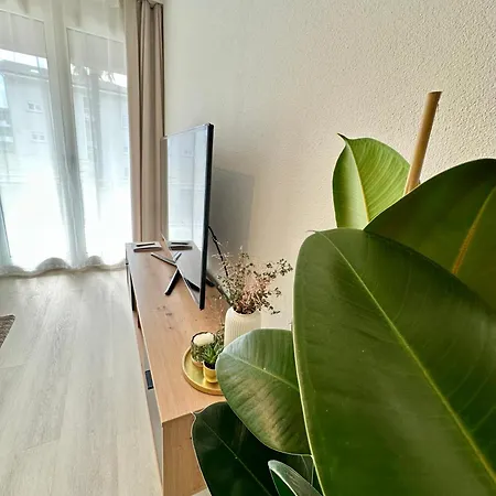 Garden Apartment, 5 Minutes To Maggiore, Near Locarno, Private Parking Lot Apartament *