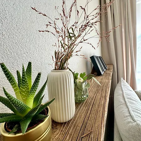 Garden Apartment, 5 Minutes To Maggiore, Near Locarno, Private Parking Lot Apartament *