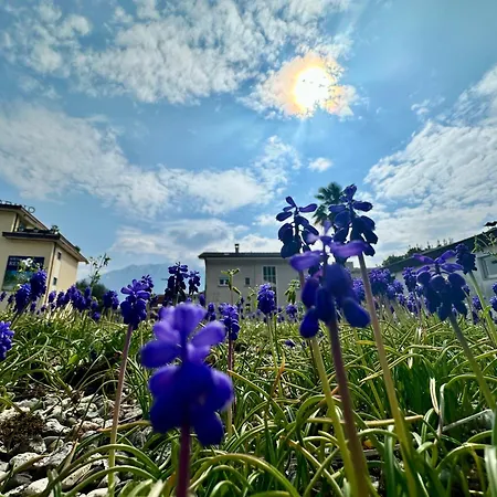 Apartament Garden Apartment, 5 Minutes To Maggiore, Near Locarno, Private Parking Lot
