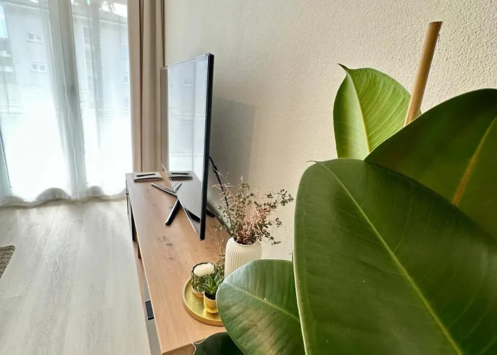 Garden Apartment, 5 Minutes To Maggiore, Near Locarno, Private Parking Lot Appartamento *