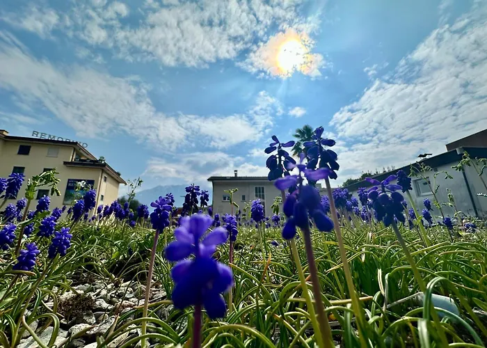 Appartamento Garden Apartment, 5 Minutes To Maggiore, Near Locarno, Private Parking Lot